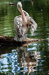 Mojang官方揭秘！ 《我的世界》经典Bug幕后故事